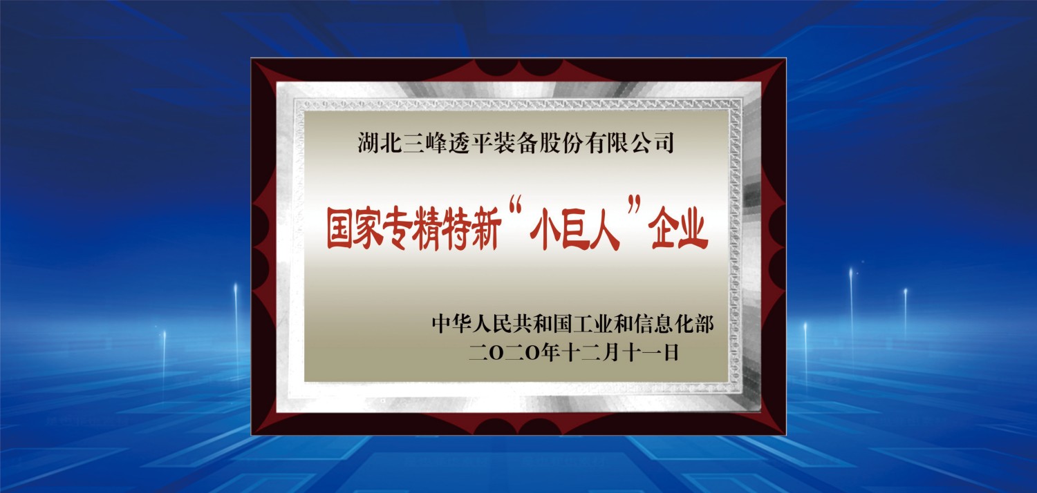 国家级专精特新小巨人.jpg