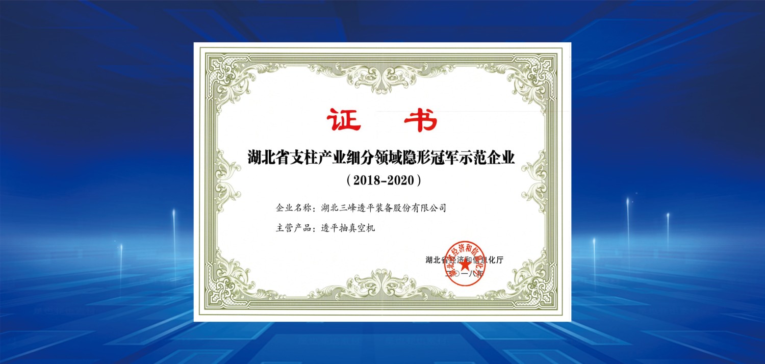 2018细分领域冠军.jpg